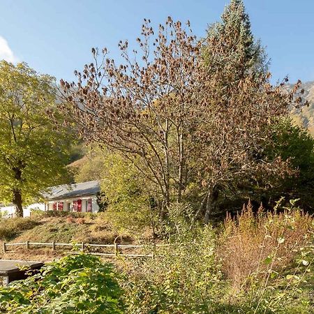Comfortable Farm House Petit Barzun, In The Parc National Pyrenees Barèges Εξωτερικό φωτογραφία